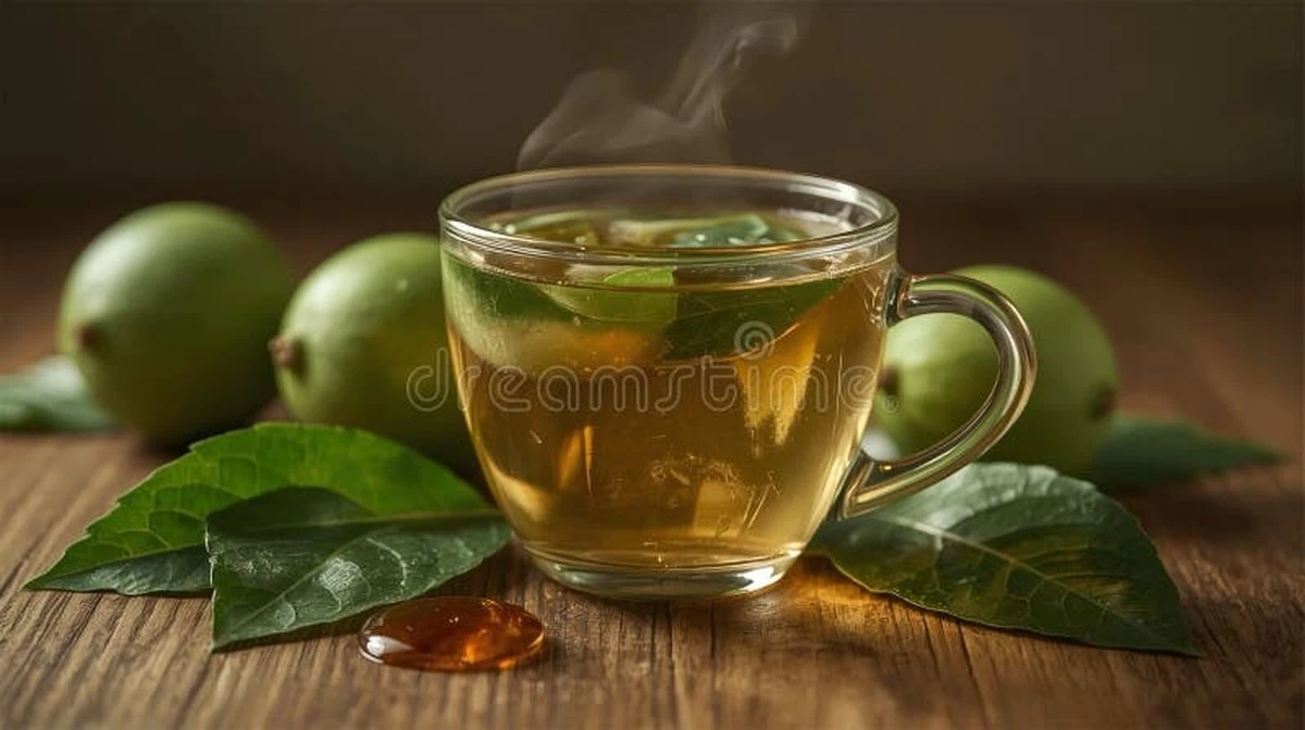 Dlaczego warto pić napar z liści gujawy przed posiłkiem - image 1