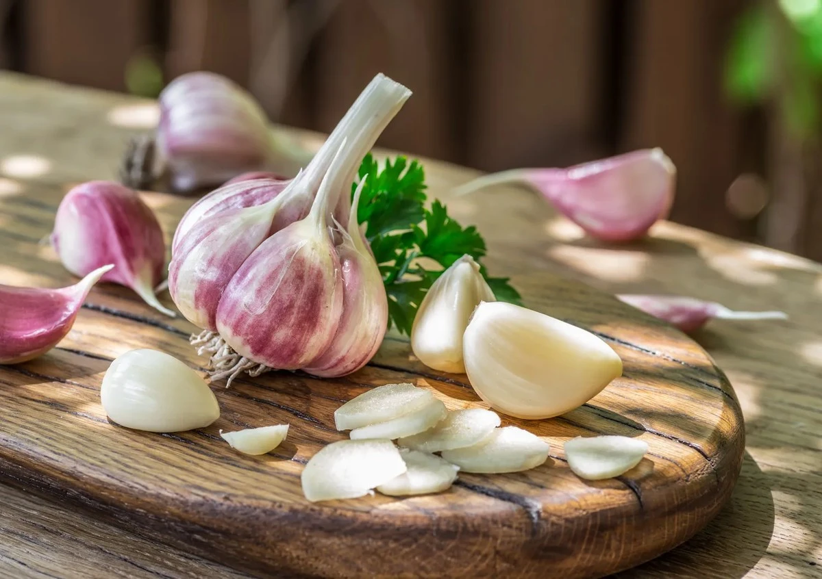 Dlaczego doświadczeni ogrodnicy zawsze stosują siarczan magnezu pod czosnek