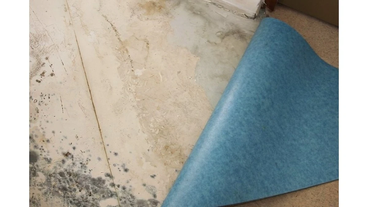 Dlaczego doświadczeni remontowcy zawsze kładą folię pod linoleum