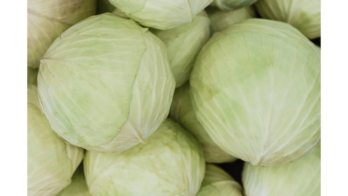 Dlaczego Twoja kapusta nie wiąże głów? Prosty trik z popiełem