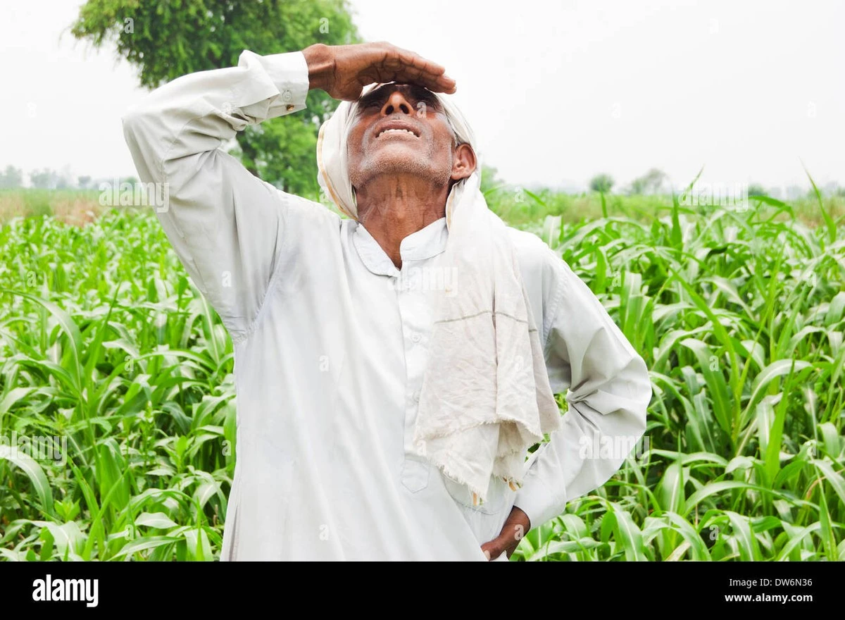 Dlaczego starzy rolnicy zawsze patrzą na pogodę 19 marca - image 1