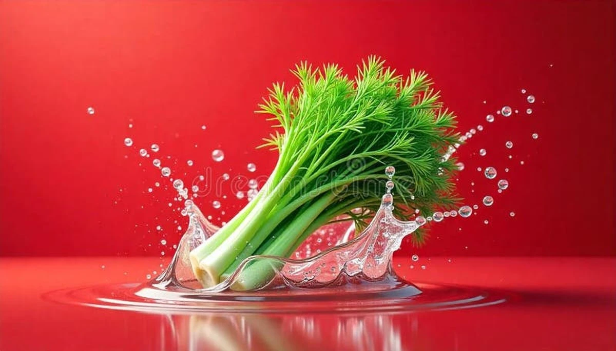 Dlaczego warto żuć łyżeczkę nasion koperku po każdym posiłku - image 1