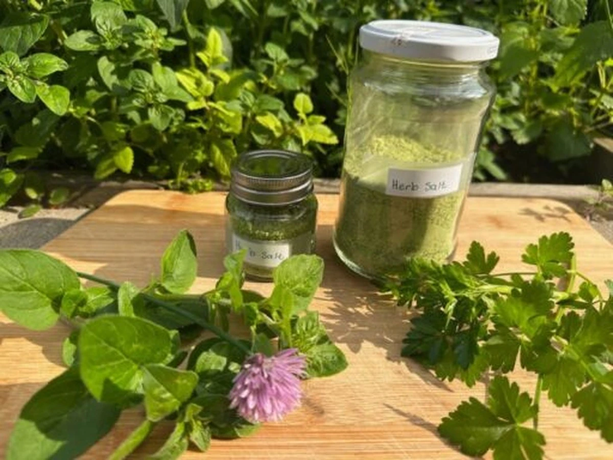 Dlaczego doświadczone gospodynie zawsze wrzucają gałązkę bazylii do słoika z solą - image 1