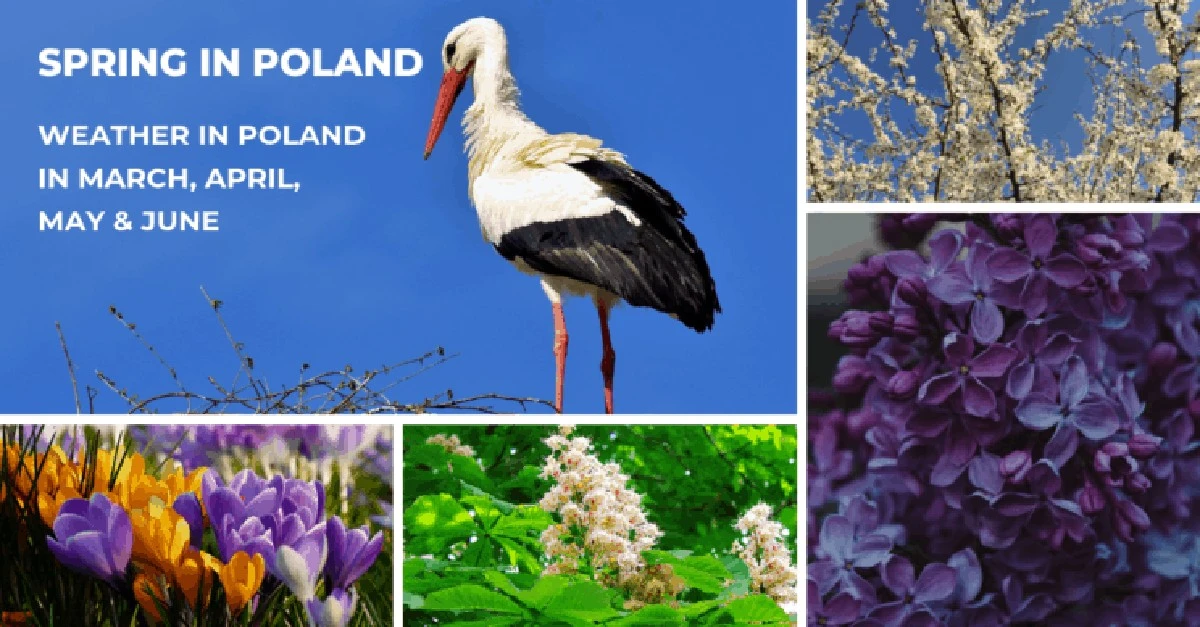 Dlaczego starsi ludzie w Wielki Piątek zawsze patrzą w niebo - image 1