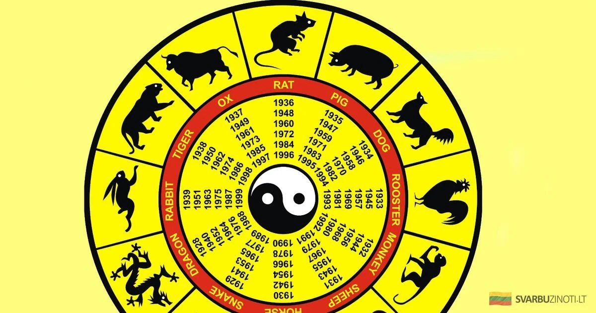 Dlaczego w lipcu 2025 warto trzymać na biurku szklankę wody: chiński horoskop ostrzega