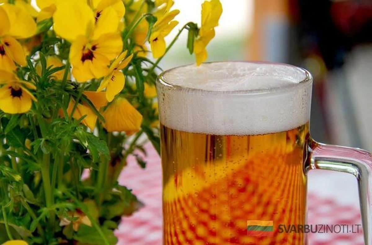 Dlaczego osoby pijące dwa piwa dziennie starzeją się wolniej niż abstynenci