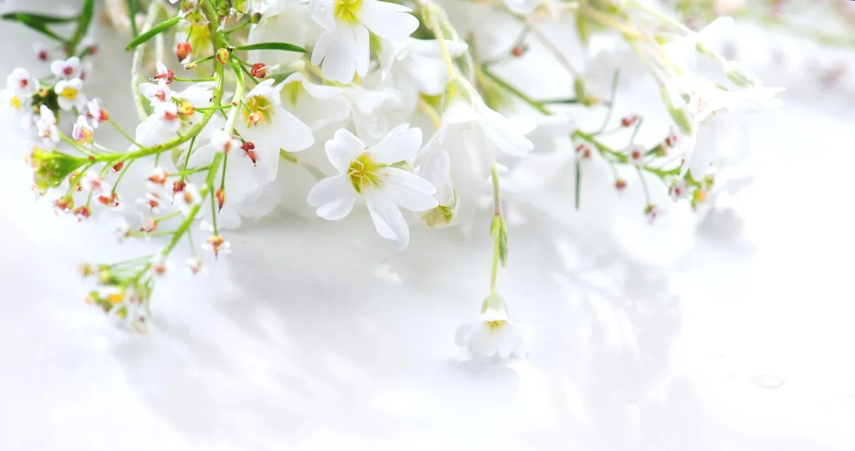 Dlaczego starzy rolnicy zawsze patrzą na pogodę 19 marca