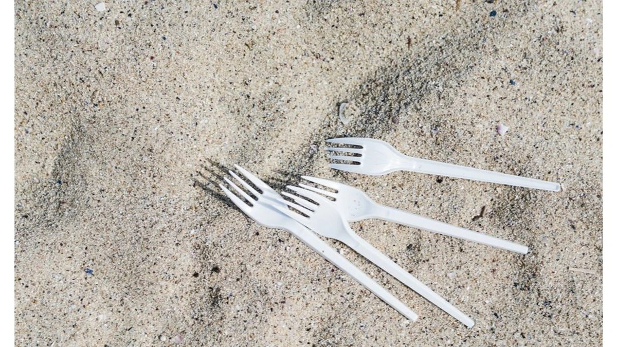 Dlaczego doświadczeni ogrodnicy wbijają plastikowe widelce w grządki pomidorów