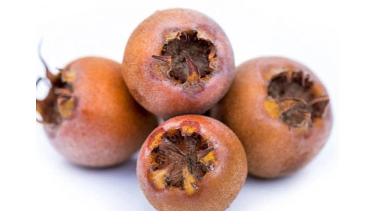 Pigwa na odporność: twardy owoc — ukryty skarb Twoich jelit