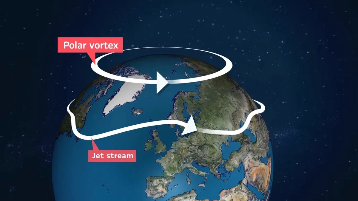 Dlaczego nagły powrót ciepła w lutym to w rzeczywistości niebezpieczny sygnał