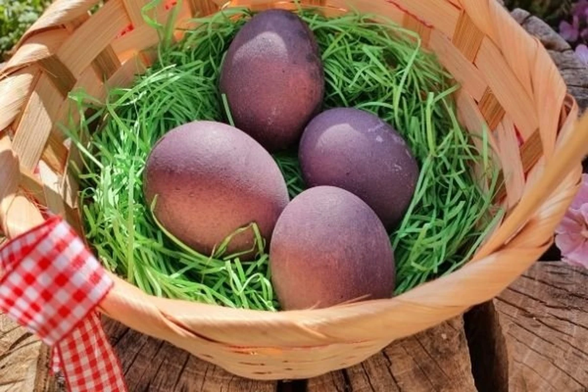 Dlaczego warto wrzucić jajka do czerwonego wina zamiast do barwnika - image 1