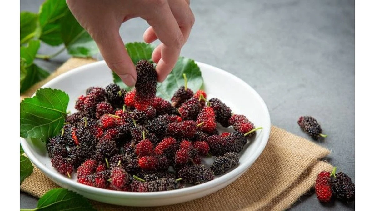Dlaczego warto wrzucić garść suszonej morwy do porannej owsianki