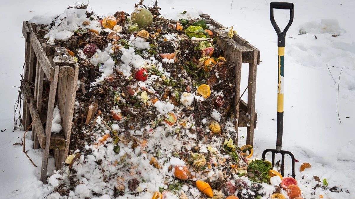 Dlaczego twój kompost nie przeżyje zimy? Ten błąd niszczy twoje nawozy - image 1