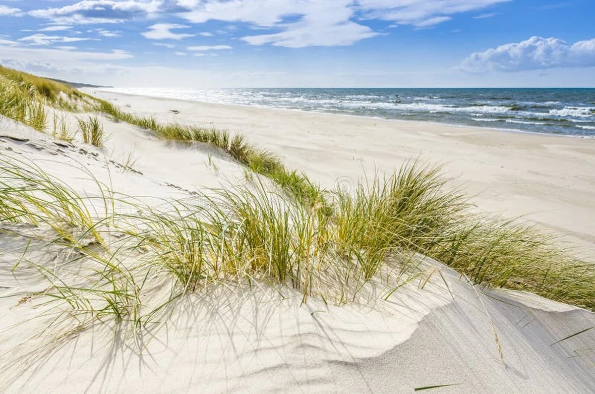 Dlaczego poziom Bałtyku nagle spadł o 67 cm poniżej normy - image 1