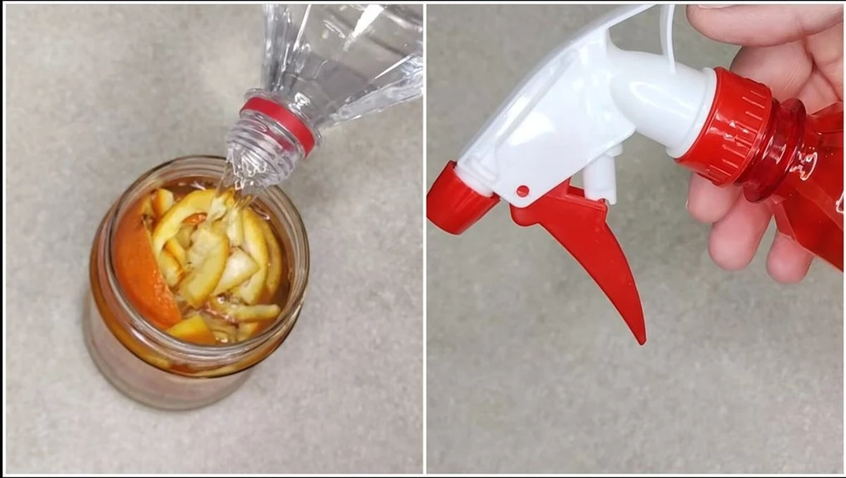 Dlaczego warto wrzucić skórki z 4 mandarynek do octu