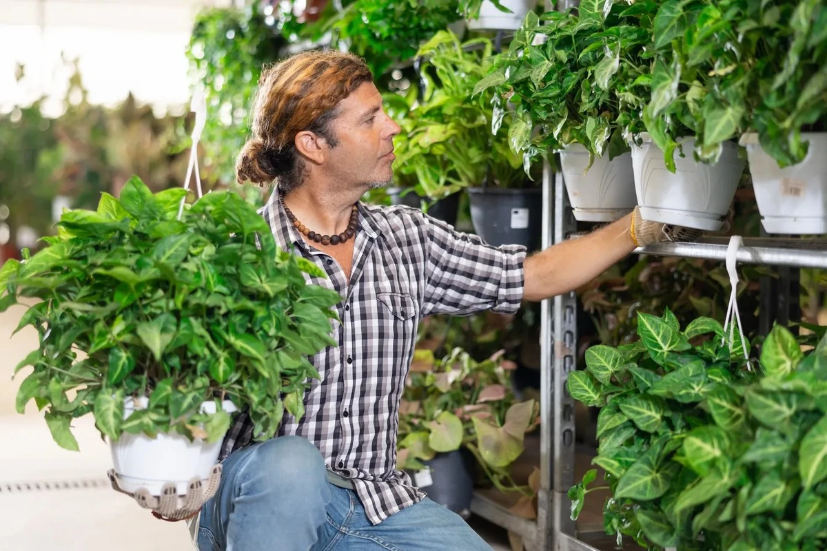 Dlaczego doświadczeni floryści unikają kupowania kwiatów w supermarketach