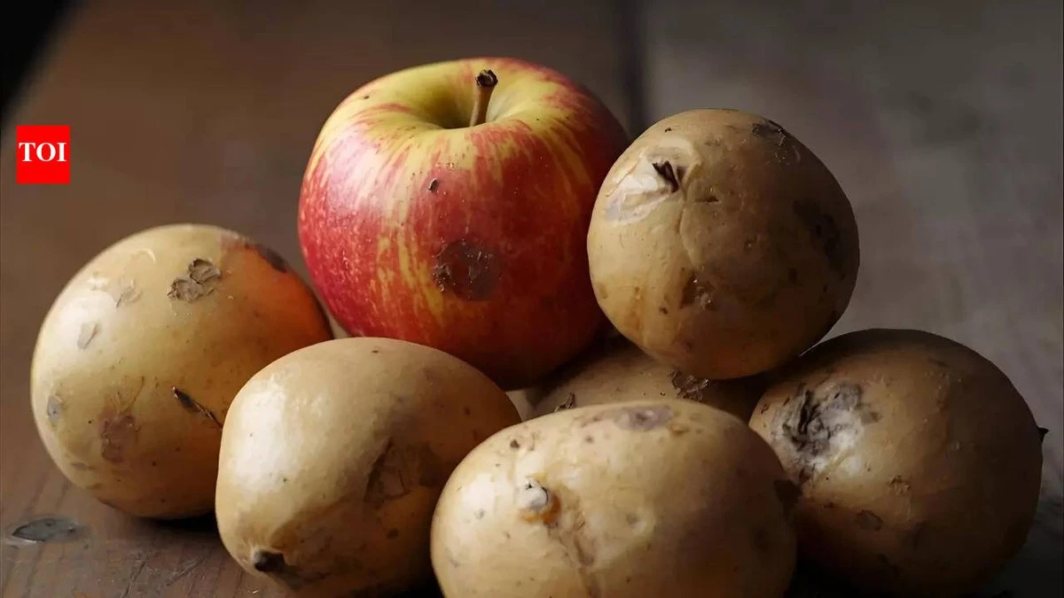 Dlaczego Twoje ziemniaki kiełkują? 1 trik wydłuży ich życie o miesiące - image 1