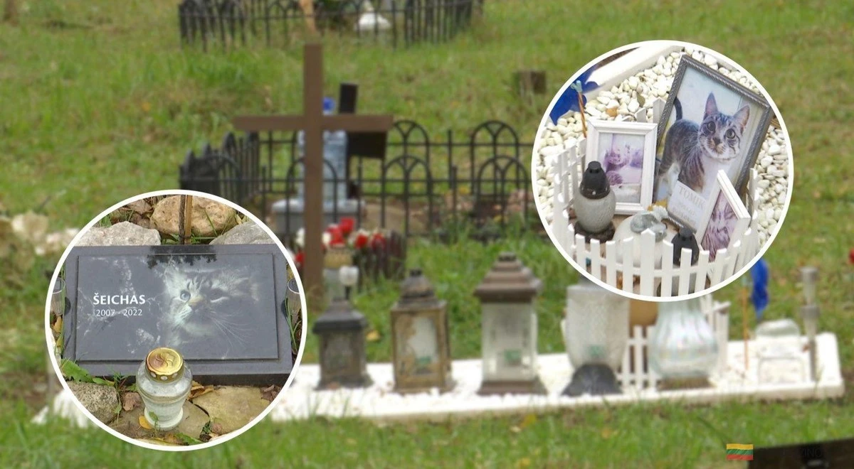 Dlaczego mieszkańcy miast stawiają monitoring nad grobami psów