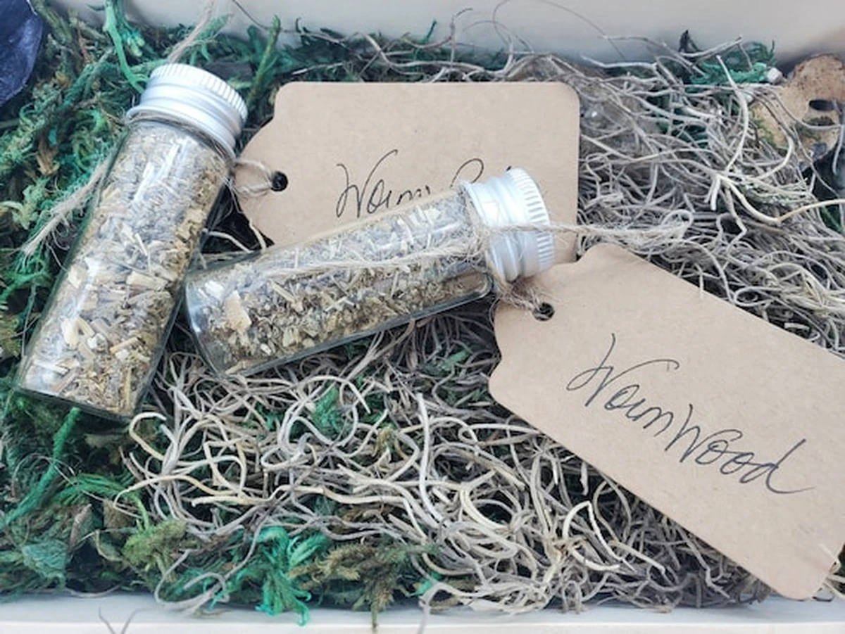 Dlaczego doświadczone gospodynie zawsze trzymają piołun w szafce kuchennej - image 1