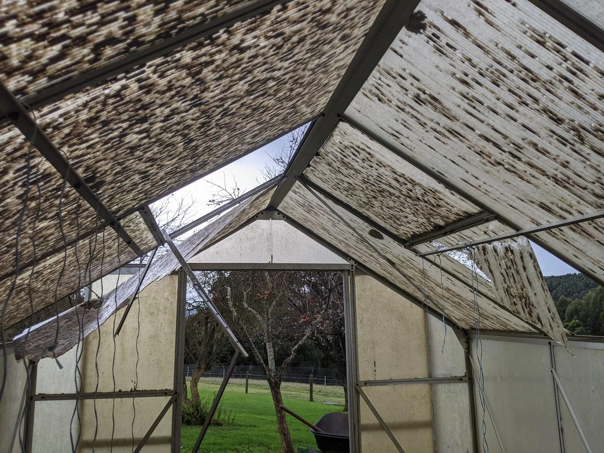 Przezroczysty poliwęglan traci trwałość: Ten błąd niszczy szklarnie - image 1