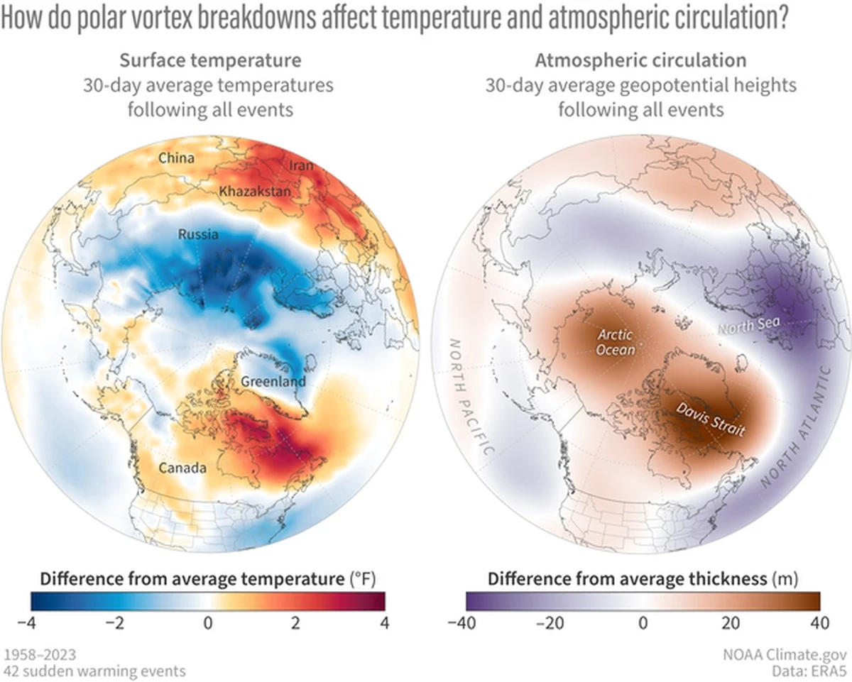 dlaczegonagypow-extra-1.webp Dlaczego nagły powrót ciepła w lutym to w rzeczywistości niebezpieczny sygnał - image 1