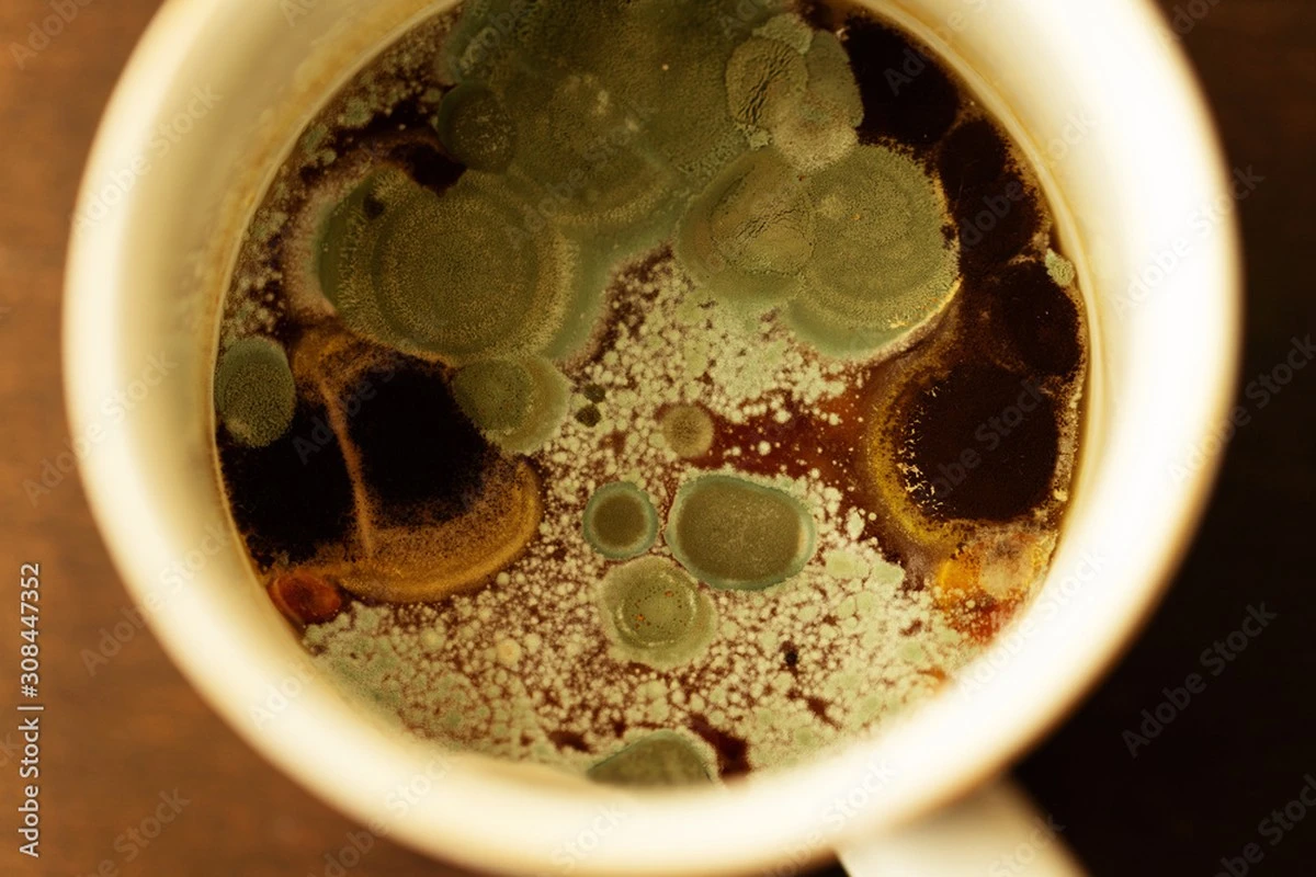 dlaczegodoswiad-extra-1.webp Dlaczego doświadczeni technolodzy żywności nigdy nie piją herbaty z wczoraj - image 1