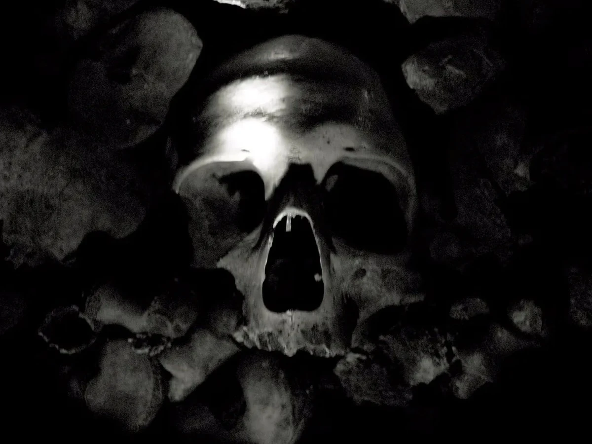 Dlaczego naukowcy z Harvardu badają ten fragment czaszki znaleziony w bazylice