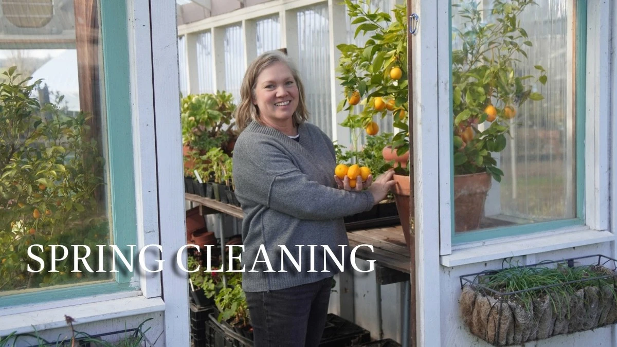 Dlaczego doświadczeni ogrodnicy myją szklarnię szarym mydłem już w marcu - image 1