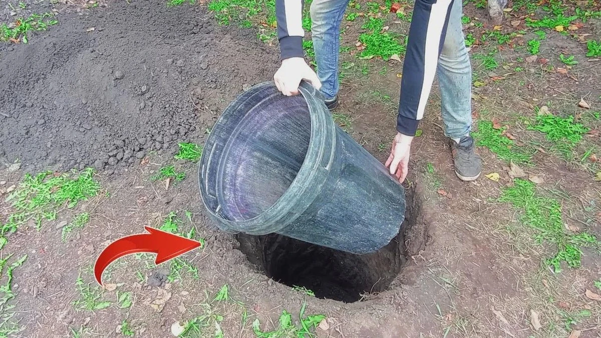 Dlaczego doświadczeni działkowcy zakopują plastikową beczkę w ogrodzie - image 1