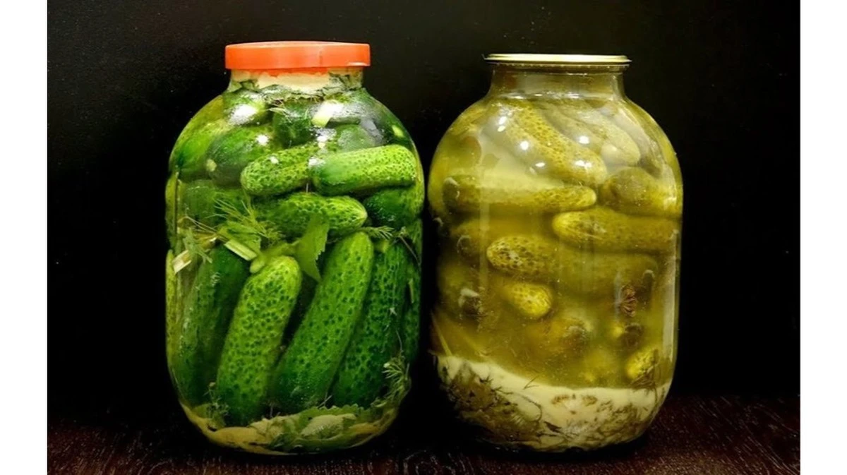 Dlaczego ogórki kiszone robią się miękkie: trzy odmiany gwarantujące chrupkość