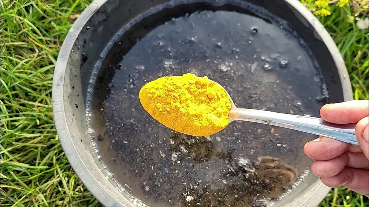 Dlaczego doświadczeni ogrodnicy zawsze sypią łyżkę kurkumy do ziemi jesienią