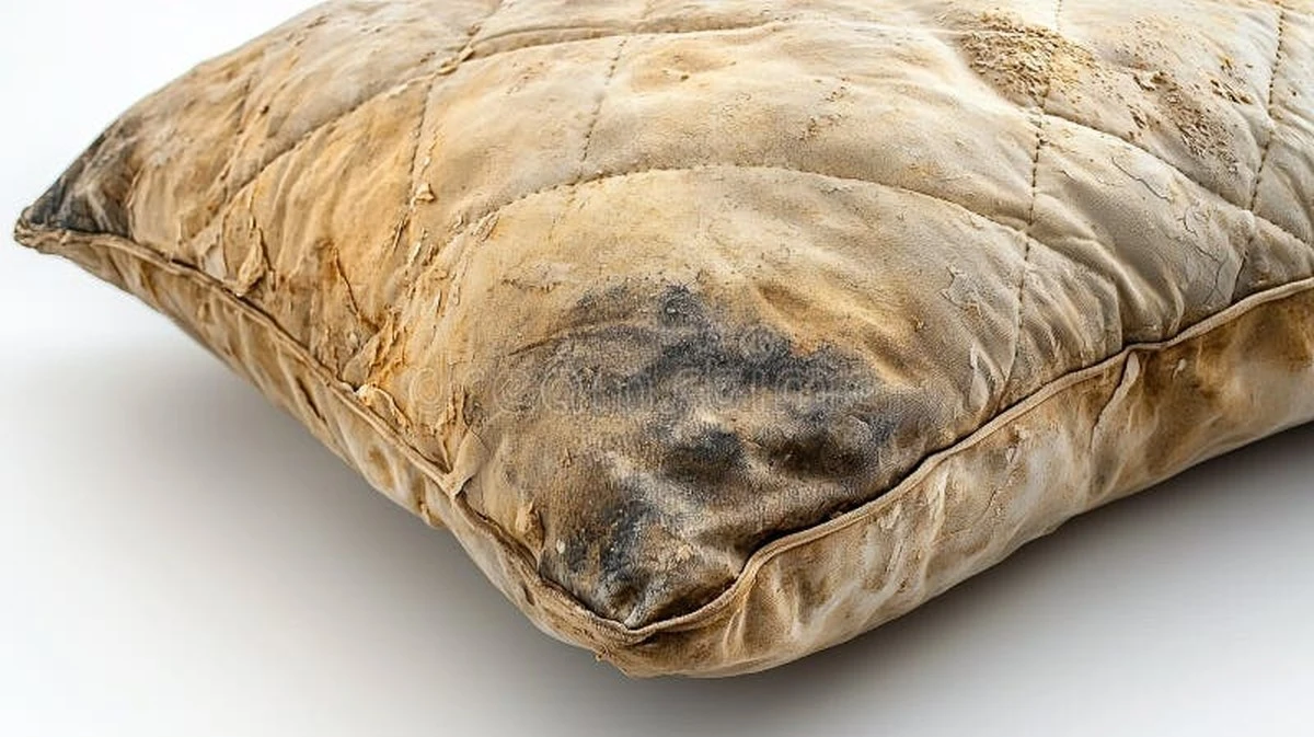 Dlaczego Twoja stara poduszka to bomba biologiczna? 3 znaki - image 1