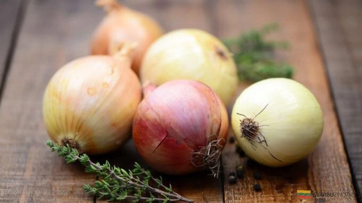 Dlaczego doświadczeni ogrodnicy sypią popiół pod cebulę właśnie w sierpniu