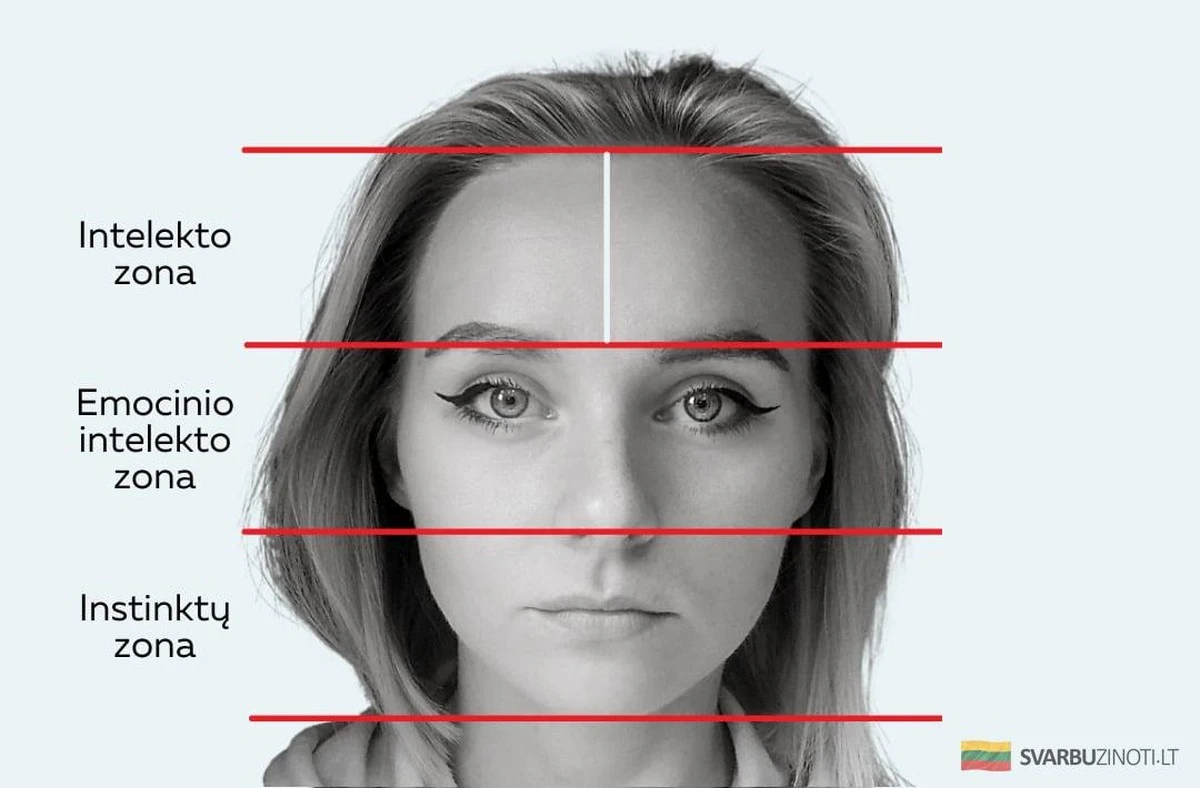 Co mówi o nas kształt żuchwy i szerokość czoła